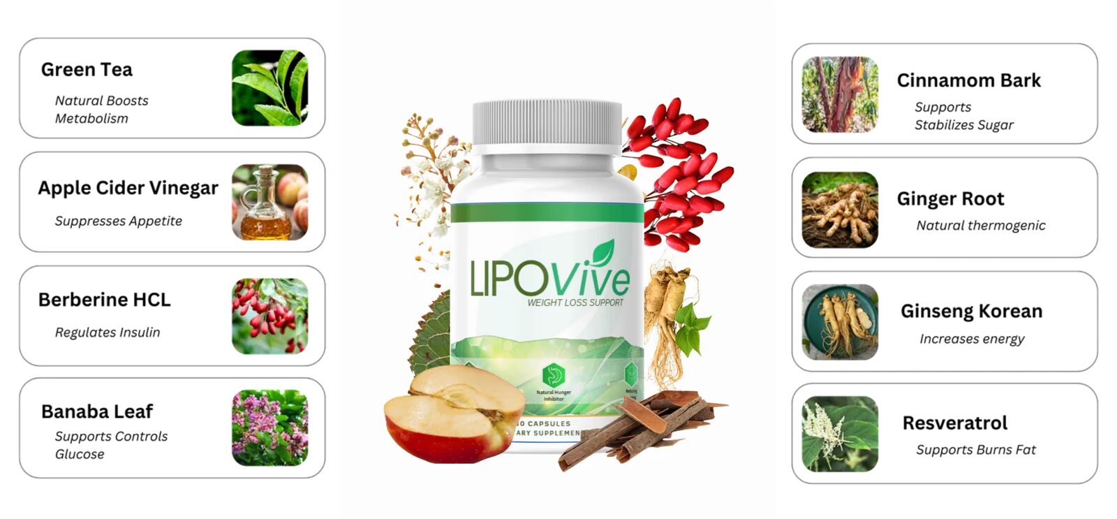 LipoVive Natural Fat-Burning Supplement